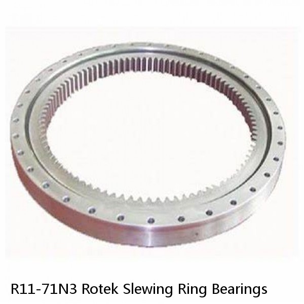R11-71N3 Rotek Slewing Ring Bearings