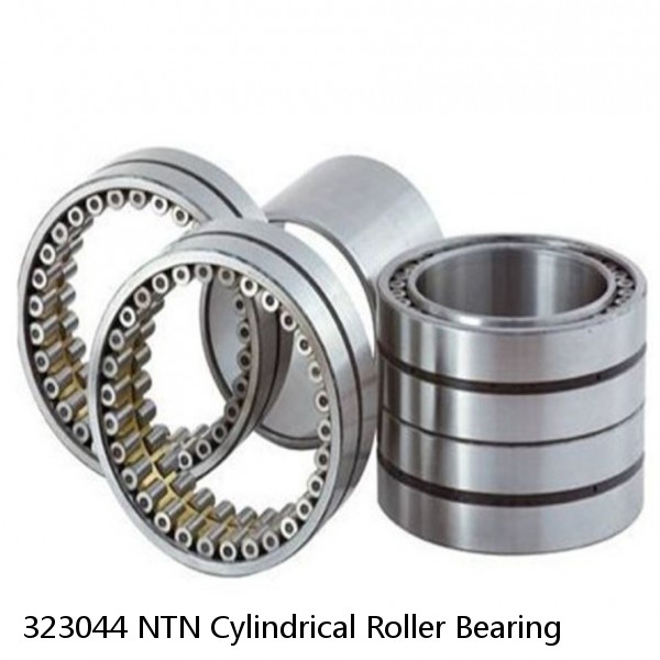 323044 NTN Cylindrical Roller Bearing