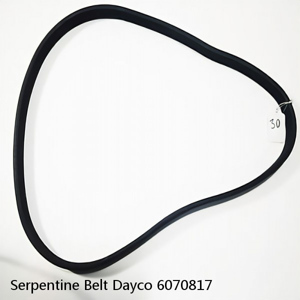 Serpentine Belt Dayco 6070817