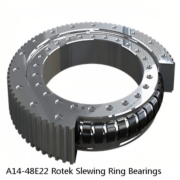 A14-48E22 Rotek Slewing Ring Bearings