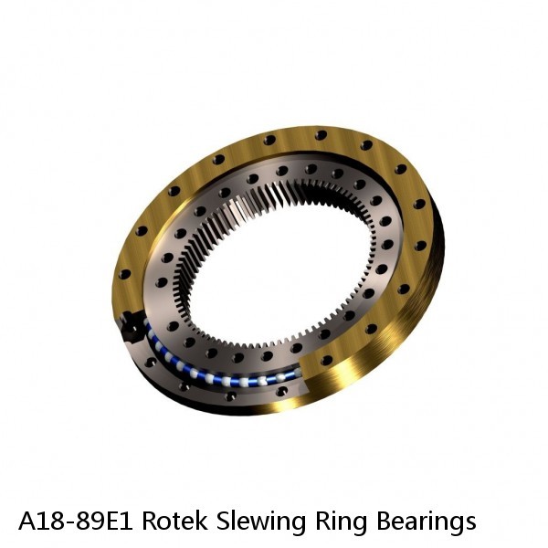 A18-89E1 Rotek Slewing Ring Bearings