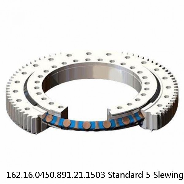 162.16.0450.891.21.1503 Standard 5 Slewing Ring Bearings