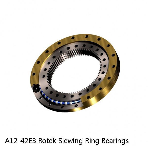 A12-42E3 Rotek Slewing Ring Bearings