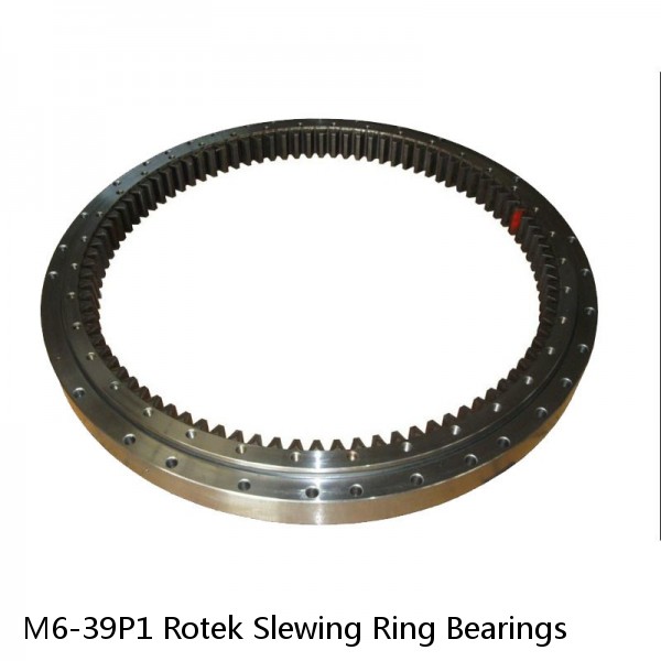 M6-39P1 Rotek Slewing Ring Bearings