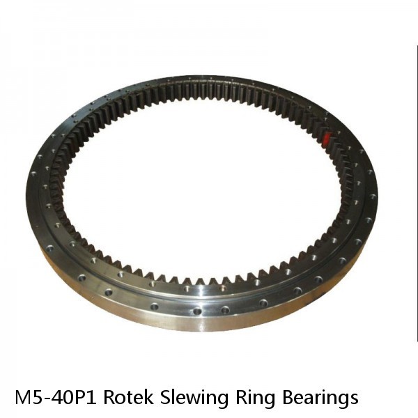 M5-40P1 Rotek Slewing Ring Bearings