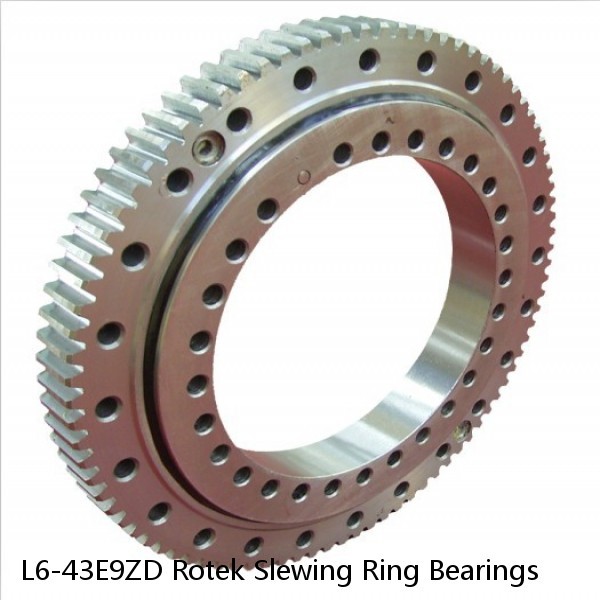 L6-43E9ZD Rotek Slewing Ring Bearings