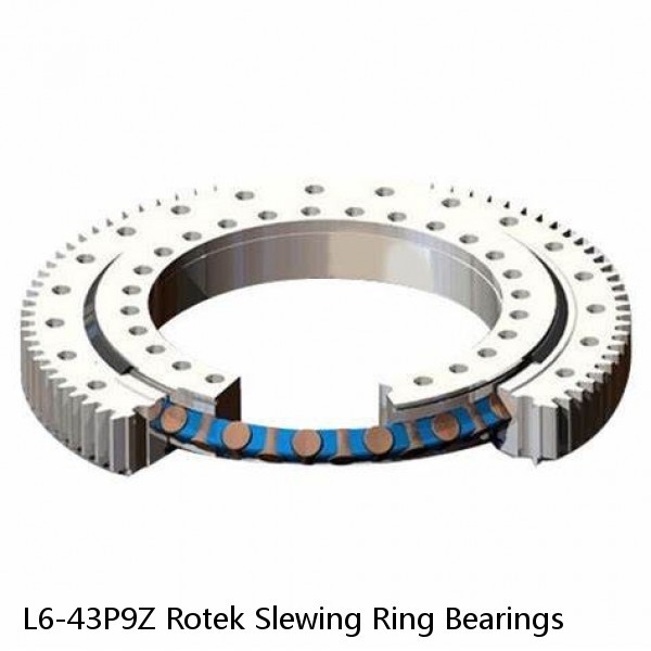 L6-43P9Z Rotek Slewing Ring Bearings