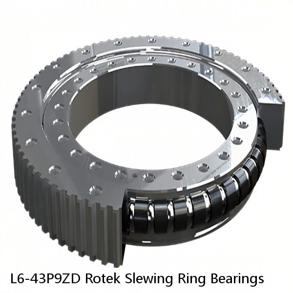 L6-43P9ZD Rotek Slewing Ring Bearings