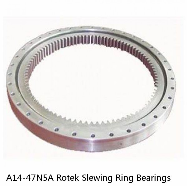 A14-47N5A Rotek Slewing Ring Bearings