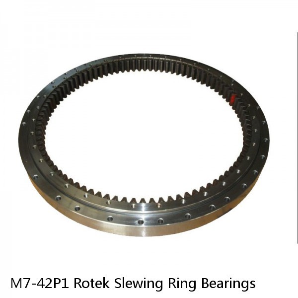 M7-42P1 Rotek Slewing Ring Bearings