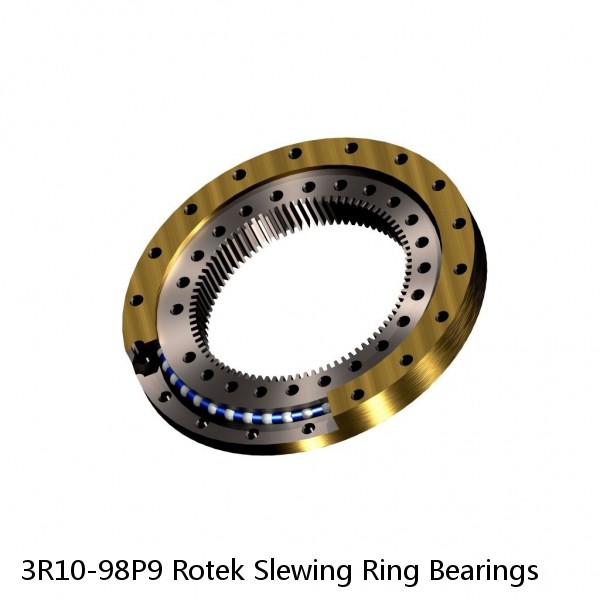 3R10-98P9 Rotek Slewing Ring Bearings