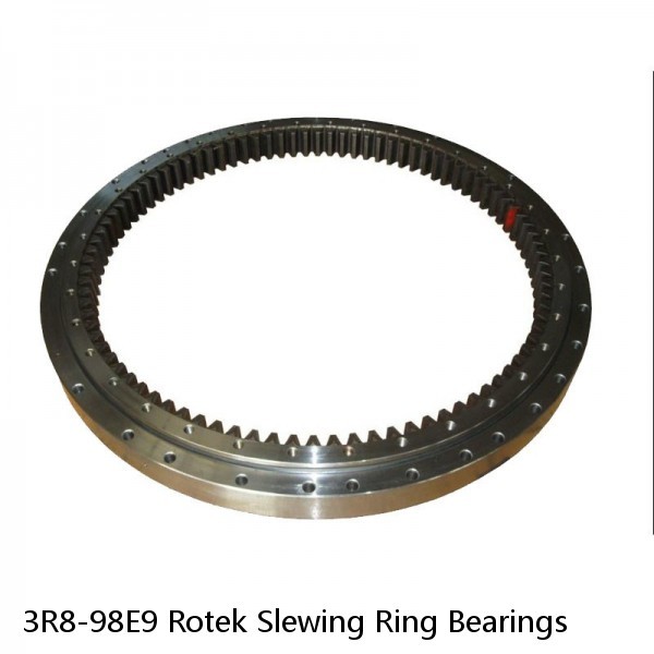 3R8-98E9 Rotek Slewing Ring Bearings