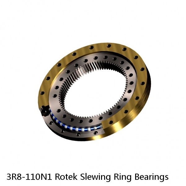 3R8-110N1 Rotek Slewing Ring Bearings