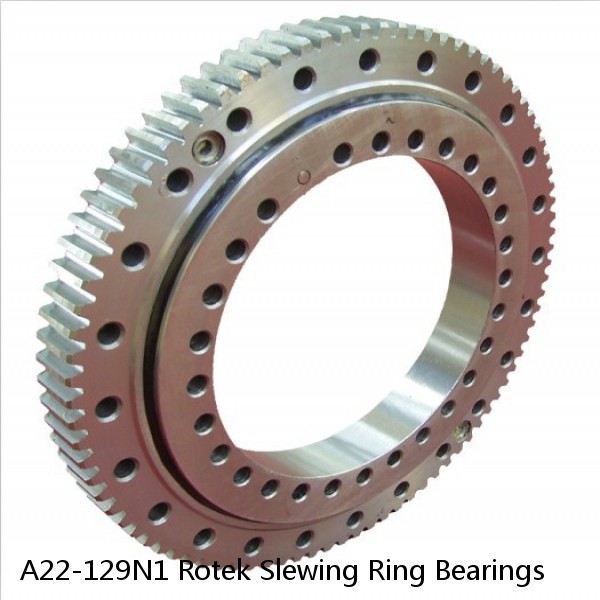 A22-129N1 Rotek Slewing Ring Bearings