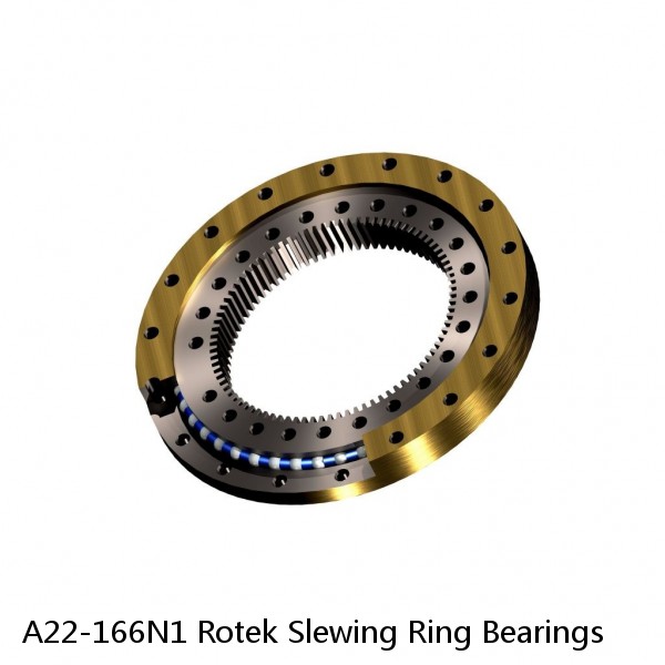 A22-166N1 Rotek Slewing Ring Bearings