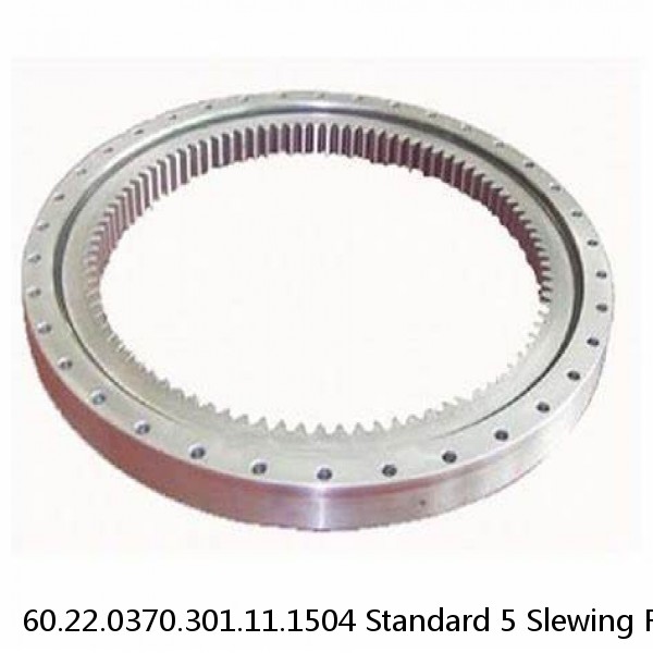 60.22.0370.301.11.1504 Standard 5 Slewing Ring Bearings