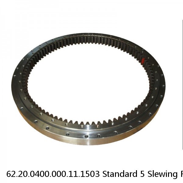 62.20.0400.000.11.1503 Standard 5 Slewing Ring Bearings