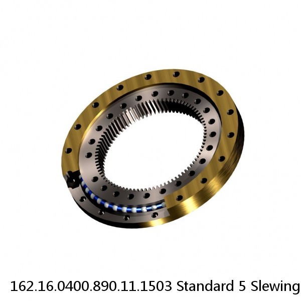 162.16.0400.890.11.1503 Standard 5 Slewing Ring Bearings