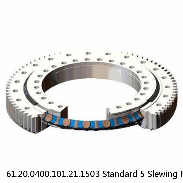 61.20.0400.101.21.1503 Standard 5 Slewing Ring Bearings