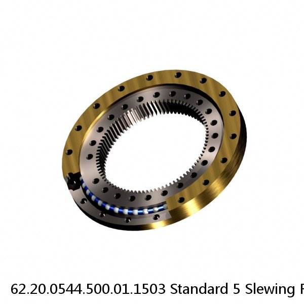 62.20.0544.500.01.1503 Standard 5 Slewing Ring Bearings