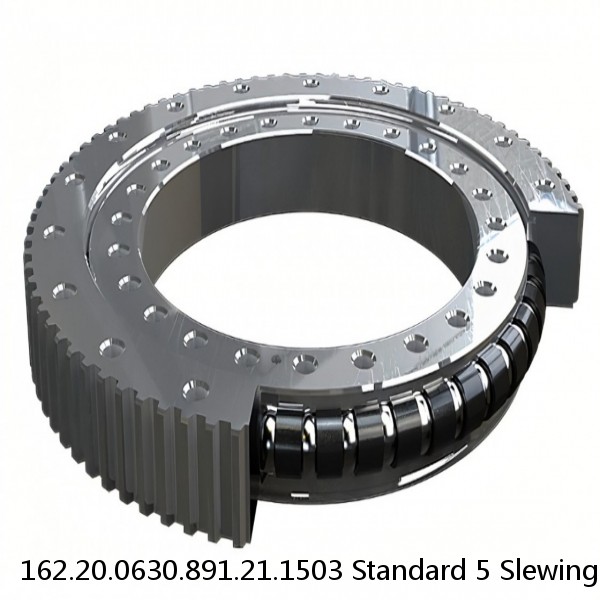 162.20.0630.891.21.1503 Standard 5 Slewing Ring Bearings